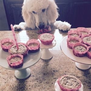 Meet your Posher, Emma